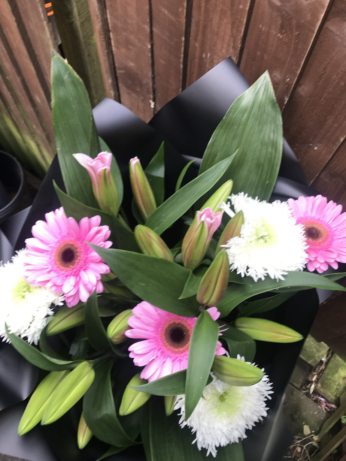 Gallery – Box Trees Flowers